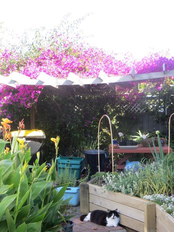 Cotswold Cottage Bed And Breakfast Thames Εξωτερικό φωτογραφία